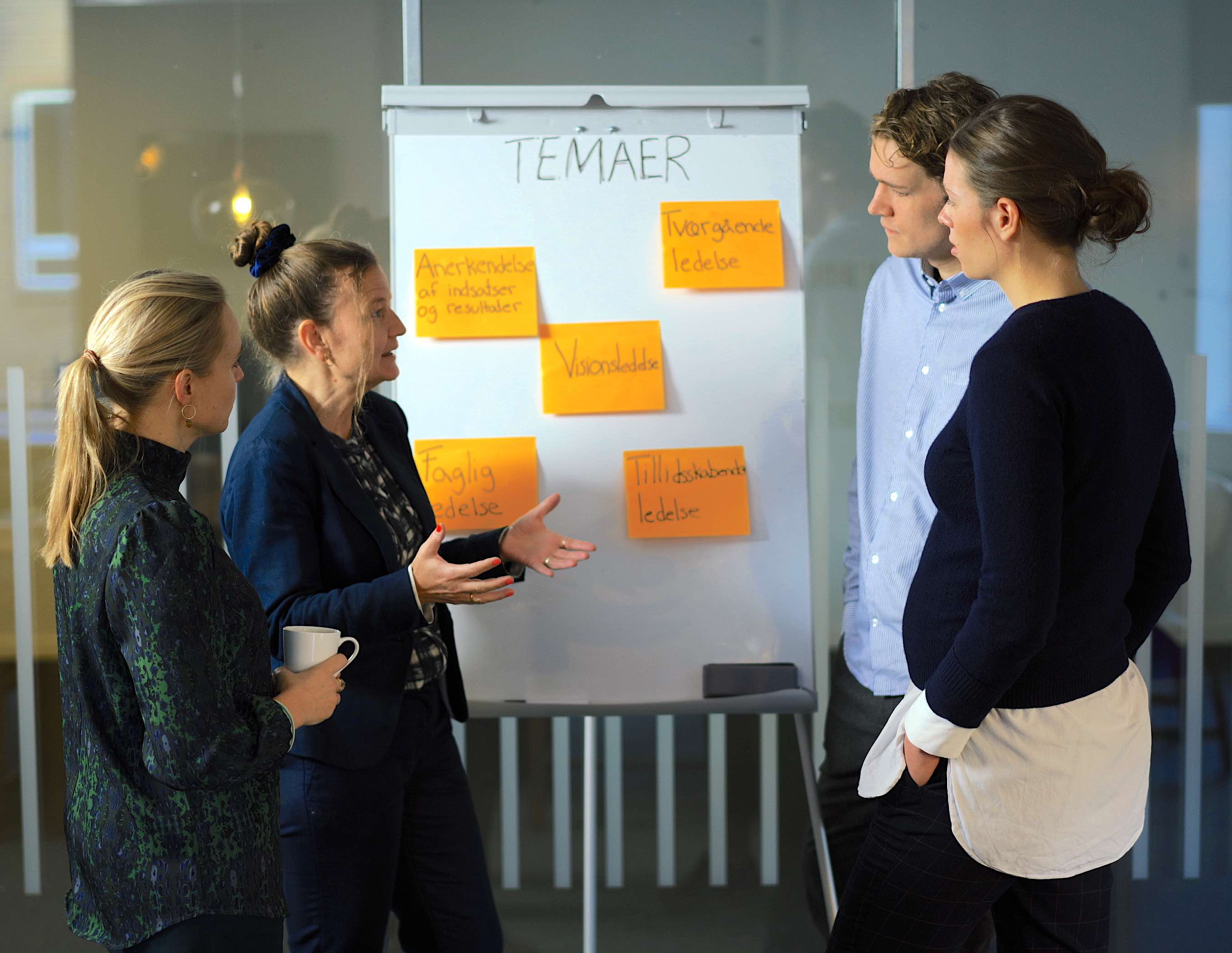 The Public Management Evaluation